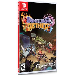 Dungeons of Aether - PC Game - Limited Run
