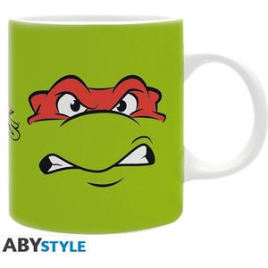 Teenage Mutant Ninja Turtles Mug - Raphael & Michelangelo