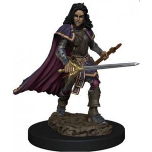 Pathfinder Battles - Female Human Bard Premium Figure