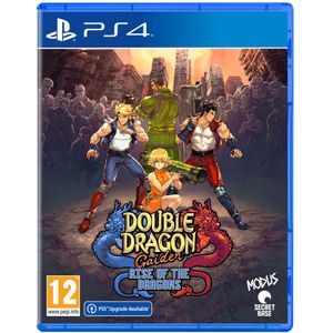 Double Dragon Gaiden: Rise of the Dragons