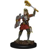 Dungeons & Dragons Icons of the Realms - Female Human Cleric Premium Figure