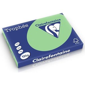 Clairefontaine gekleurd papier natuurgroen 120 g/m² A3 (250 vellen)