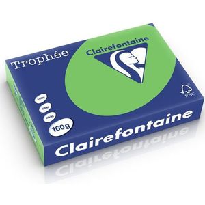 Clairefontaine gekleurd papier grasgroen 160 g/m² A4 (250 vellen)