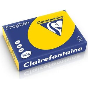 Clairefontaine gekleurd papier goudgeel 160 g/m² A4 (250 vellen)