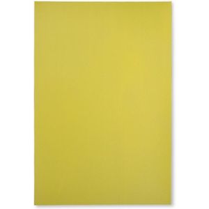 123inkt magnetisch vel geel/groen (20 x 30 cm)