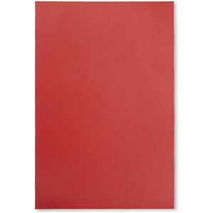 123inkt magnetisch vel rood (20 x 30 cm)