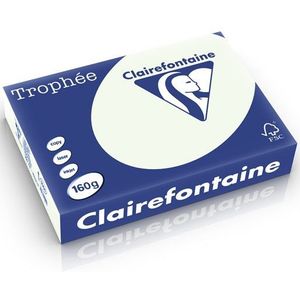 Clairefontaine gekleurd papier lichtgroen 160 g/m² A4 (250 vellen)