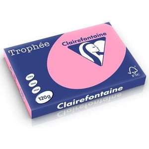 Clairefontaine gekleurd papier felroze 120 g/m² A3 (250 vellen)