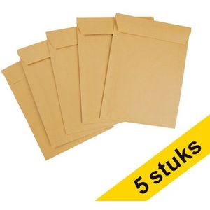 123inkt papieren eco luchtkussenenvelop 200 x 275 mm - D14 zelfklevend (5 stuks)