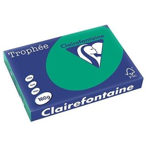Clairefontaine gekleurd papier dennengroen 160 g/m² A3 (250 vellen)