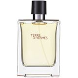 Hermès Terre d`Hermès Pour Homme Eau de Toilette 100 ml