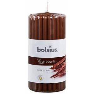 Bolsius True Scents stompkaars geur 120/58 old wood 1st