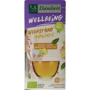 Damhert Tea time gember limoenthee bio 20st