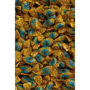 Van Vliet Honingbonbons honing speciaal 5000g