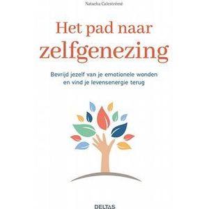 Deltas Het pad naar zelfgenezing boek