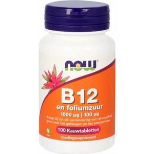 NOW Vitamine B12 1000 mcg en Foliumzuur 100 mcg 100kt