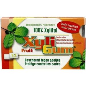 Xyligum Fruit 12st