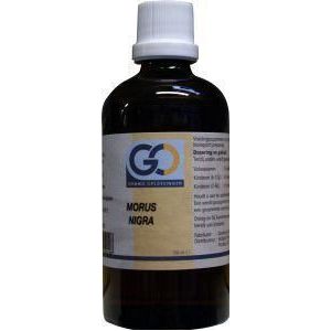 GO Morus nigra 100ml