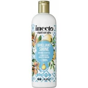 Inecto Naturals Argan shampoo 500ml