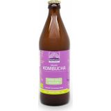 Mattisson Kombucha green tea - blossom bio 500ml