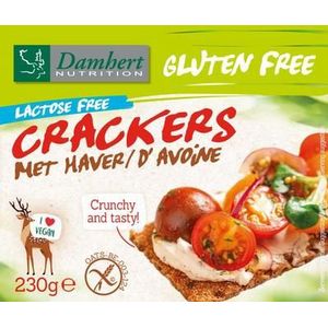Damhert Crackers haver 230g