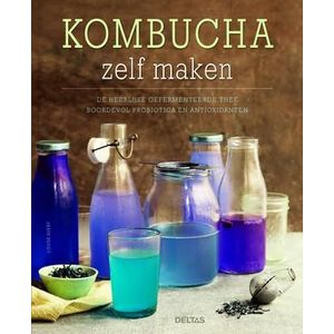 Deltas Kombucha zelf maken boek