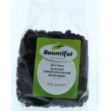 Bountiful Rozijnen blauw ongezwaveld 500g