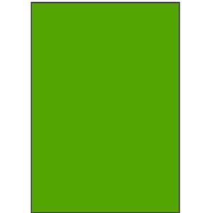 Groene A4 etiketten 210 x 297 mm (100 vel)