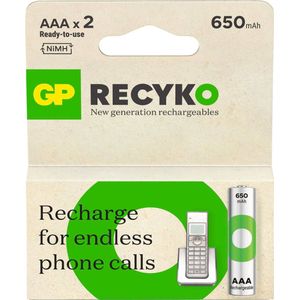 GP ReCyko AAA batterijen 650 mAh (2)