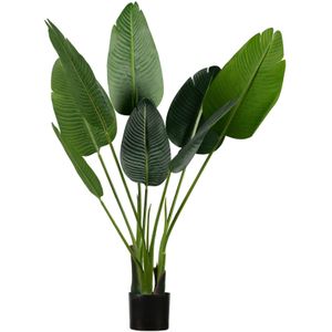 Strelitzia Kunstplant Groen 108cm
