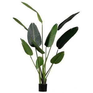 WOOOD Strelitzia Kunstplant - Groen - 96x164x63