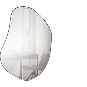 Romee Organische Spiegel Metaal Zwart 100x70cm