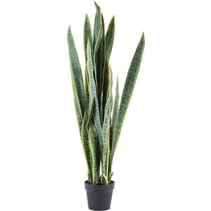 Kunstplant Sansevieria  - large