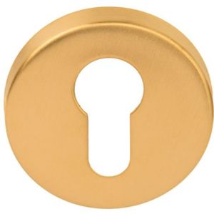 PC-Plaatje Rond D10 PVD mat goud