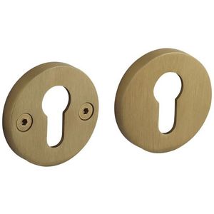 Intersteel pc-plaatjes Grand & Johnson éénzijdig verdekt ø55x8mm PVD messing mat
