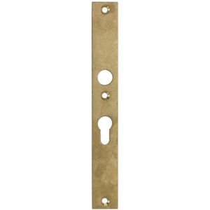 SKG3 rechthoekig smal schild PC92 binnen messing antiek