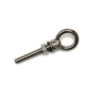 Oogbout 12x120 mm rvs AISI 316