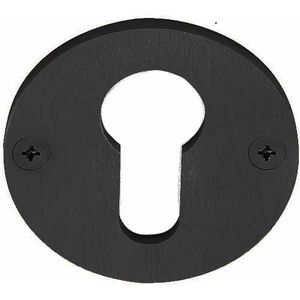 Formani - EDGY EGBY50 - Cilinderplaatje - Mat Zwart - RVS