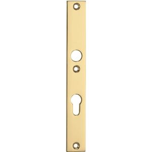 SKG3 rechthoekig smal schild PC72 binnen messing ongelakt