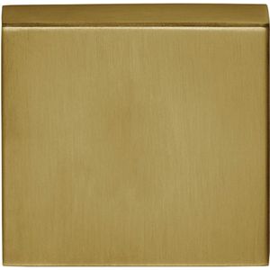 Blindplaatje vierkant 53x53x10 PVD mat goud