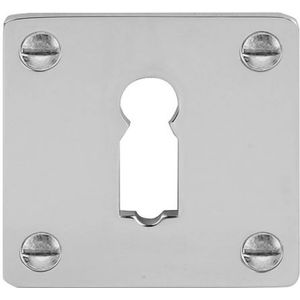 Sleutelplaatje TIMELESS MSNV45 glans nikkel