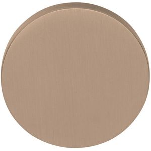 Blind plaatje ECLIPSE DRB53 PVD licht brons
