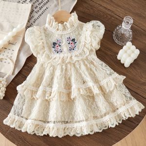 Schattige Geborduurde Bloemenkant Gelaagde Jurk Voor Babymeisjes, Stijlvolle Trendy Elegante Taartjurk Voor Babymeisjes