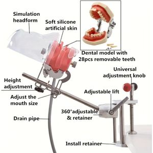 HOMEFISH Professionele Tandheelkundige - Hoogwaardige Fantoomkop met Gezichtskenmerken, Duurzaam Rubberen Gezichtsmasker & Verstelbare Schoudersteun voor Tandartsopleiding