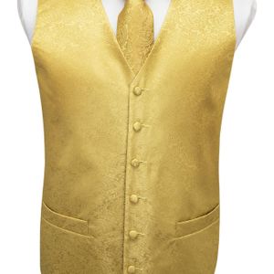 Golden Paisley casual herenvest met V-hals en knopen