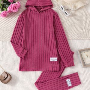 Meisjesmode lange mouw capuchon T-shirt & slim fit broek set, polyester materiaal, lichte stretch, kleur, losse pasvorm, herfst/winter seizoen, volwassen stijl, voor buiten