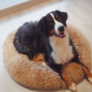 1pc Long Plush Dog Bed, Large Pet Round Bed, Ped Calming Sleeping Nest, Pet Bed Sofa Cushion Christmas Gift