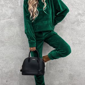 Kleur Casual Twee Delige Set, Hooded Sweatshirt & Getailleerde Broek Outfits, Dameskleding