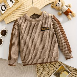 Peuter Bruine Ronde Hals Gebreide Pullovertrui, Hoge Rek Stof, Kleur, Pasvorm, met Knoopdetails, voor Herfst/Winter
