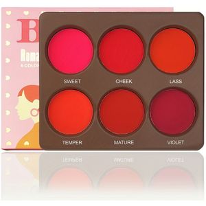 Waterdichte 6-kleuren bessenoranje roze matte poeder blush palette, gemiddelde , langdurig, , voor alle huidtinten, kleurcorrectie, wangen gezichtsmake-up